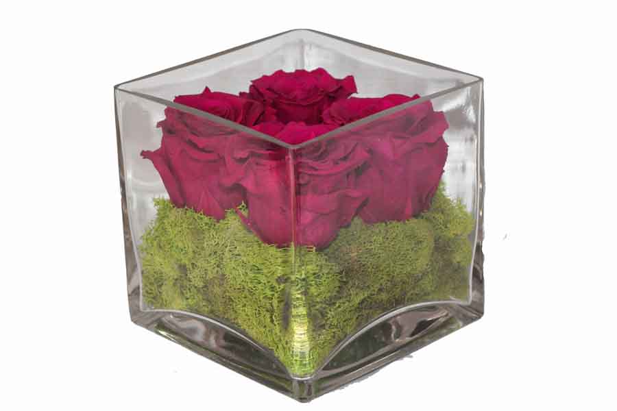 4 Rose Cube